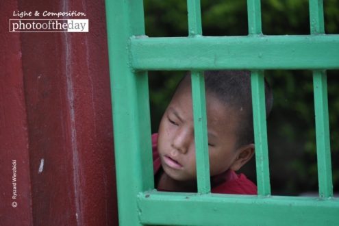 Bodhgaya Young Monk by Ryszard Wierzbicki - Photojournalism, Candid Photography, Award Winning Photography, Bodhgaya, Ryszard Wierzbicki