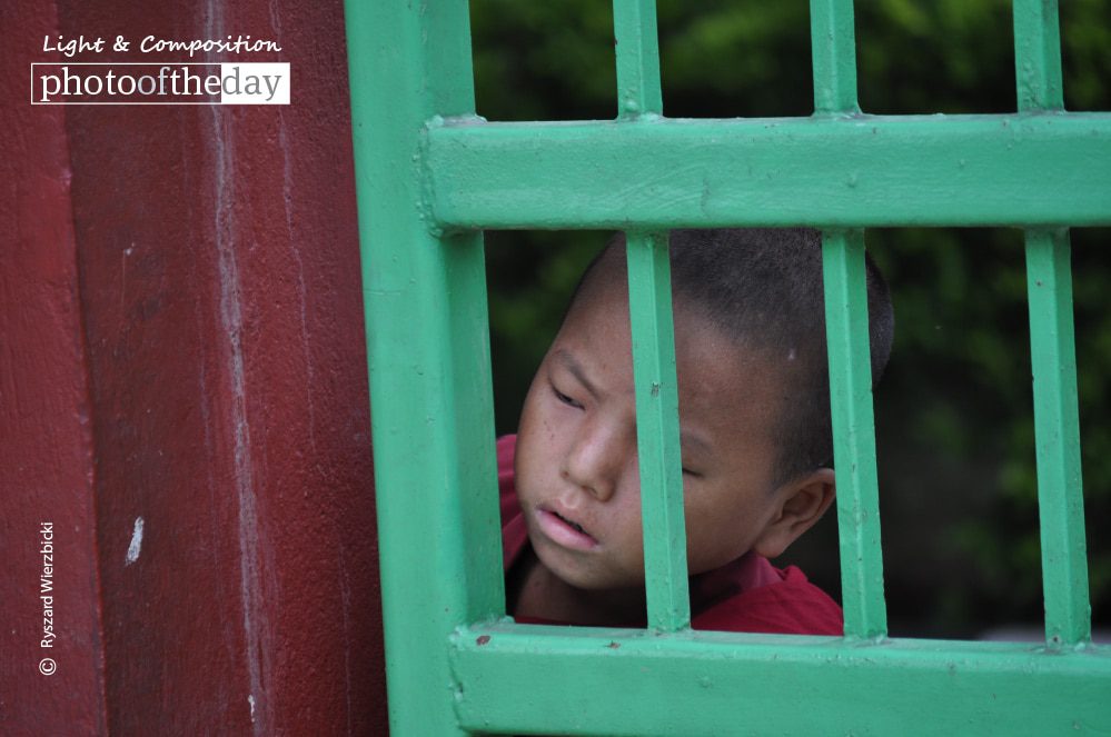 Bodhgaya Young Monk by Ryszard Wierzbicki Bodhgaya Young Monk by Ryszard Wierzbicki - Photojournalism, Candid Photography, Award Winning Photography, Bodhgaya, Ryszard Wierzbicki