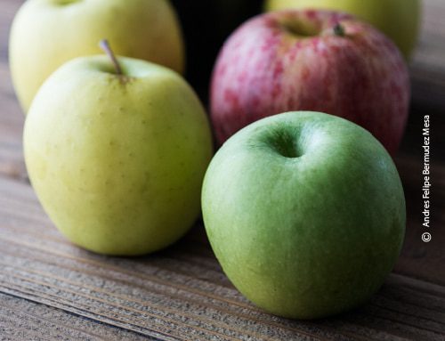 Live Your Life Ecologically, by Andres Felipe Bermudez Mesa Live Your Life Ecologically, by Andres Felipe Bermudez Mesa - Food Photography, Photography Awards, Photo of the Day,  Award Winning Photography,  Natural Light Photography