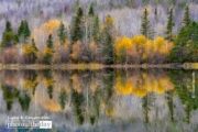 Chilko Lake Reflection, by Claudio Bacinello - Nature Photography, Photography Awards, Photo of the Day,  Claudio Bacinello,  Fine Art Photography