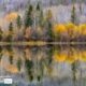 Chilko Lake Reflection, by Claudio Bacinello - Nature Photography, Photography Awards, Photo of the Day,  Claudio Bacinello,  Fine Art Photography