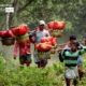 Lemon Farmers, by Saniar Rahman Rahul Lemon Farmers, by Saniar Rahman Rahul - Documentary Photography, Photojournalism, Photography Awards, Award Winning Photo, Art Photography