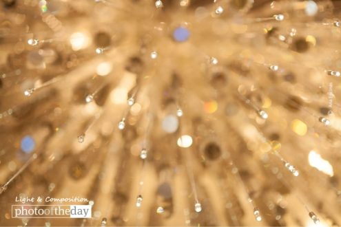 Shining Your Way, by Ana Encinas - Abstract Photography, Photography Awards, Photo of the Day, Online Photography Courses, Photography Education