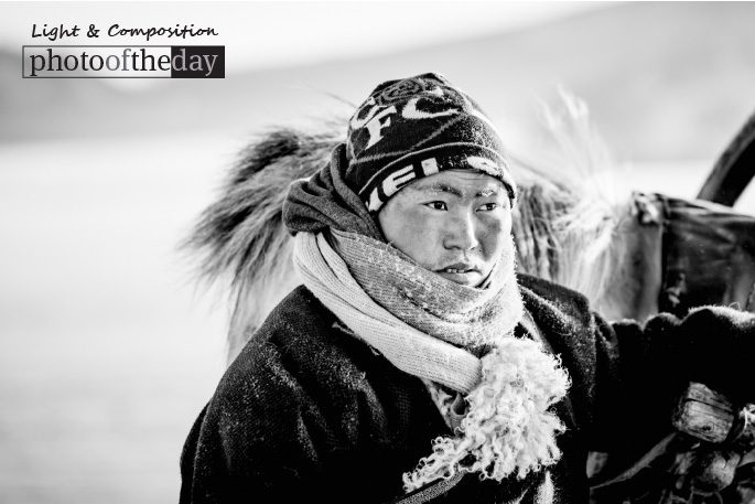 Horse Sleigh Rider, by Shirren Lim Horse Sleigh Rider, by Shirren Lim - Candid Photography, Photojournalism, Portrait Photography, Shirren Lim, Photography Awards