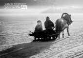 Horse Sleighing, by Shirren Lim - Photojournalism, Award-Winning Photography, Travel Photography, Shirren Lim, Light and Composition
