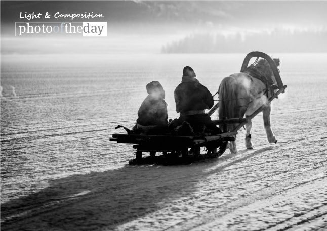 Horse Sleighing, by Shirren Lim - Photojournalism, Award-Winning Photography, Travel Photography, Shirren Lim, Light and Composition