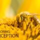 Exploring Perception - Photography Course, Online Photography Courses, Photography Education, Visual Storytelling, Perception