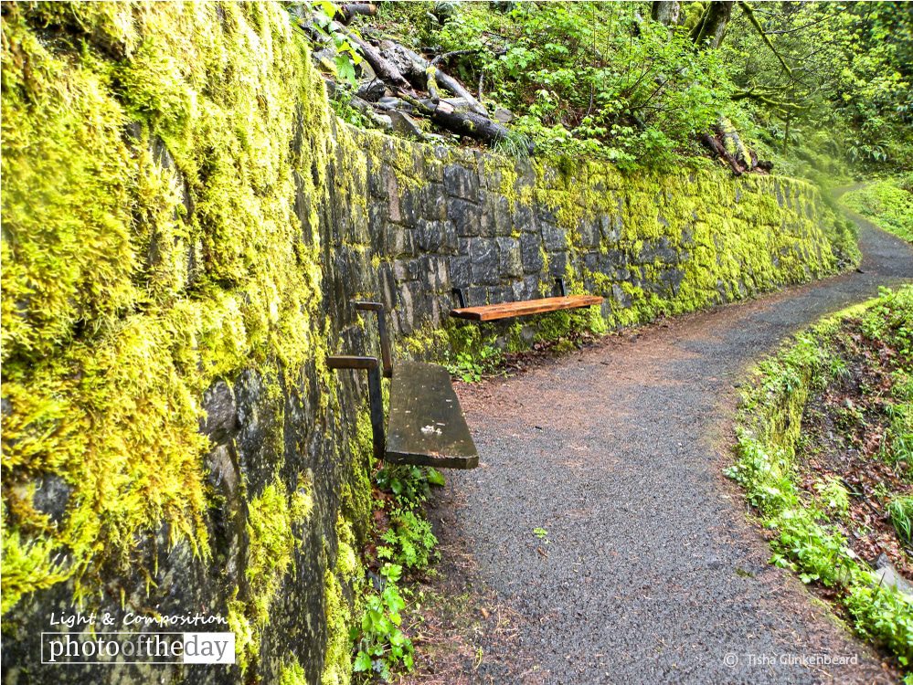 Benches on the Walls, by Tisha Clinkenbeard Benches on the Walls, by Tisha Clinkenbeard - Nature Photography, Photo of the Day, Photography Award, Landscape Photography, Tisha Clinkenbeard
