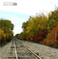 Fall Tracks, by Tisha Clinkenbeard - Nature Photography, Photography Awards, Photo of the Day, Fall Photography, Landscape Photography