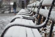 Snow Covered Benches, by Des Brownlie - Nature Photography, Award Winning Photography, Photo of the Day, Winter Photography, Des Brownlie