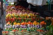 Farmer's Market, by Des Brownlie - Color Photography, Photojournalism, Award Winning Photography, Farmers Market, Des Brownlie