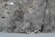 Winter in the Park, by Des Brownlie - Nature Photography, Photography Awards, Photo of the Day, Winter Photography, Central Park