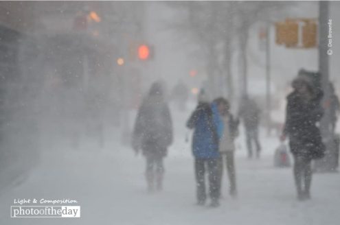 Snow Day, by Des Brownlie - Street Photography, Photography Award, Photo of the Day, Des Brownlie, New York City