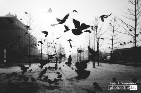 Morning, by Shirren Lim - Street Photography, Photo of the Day, Photography Awards, Photojournalism, Photography Education