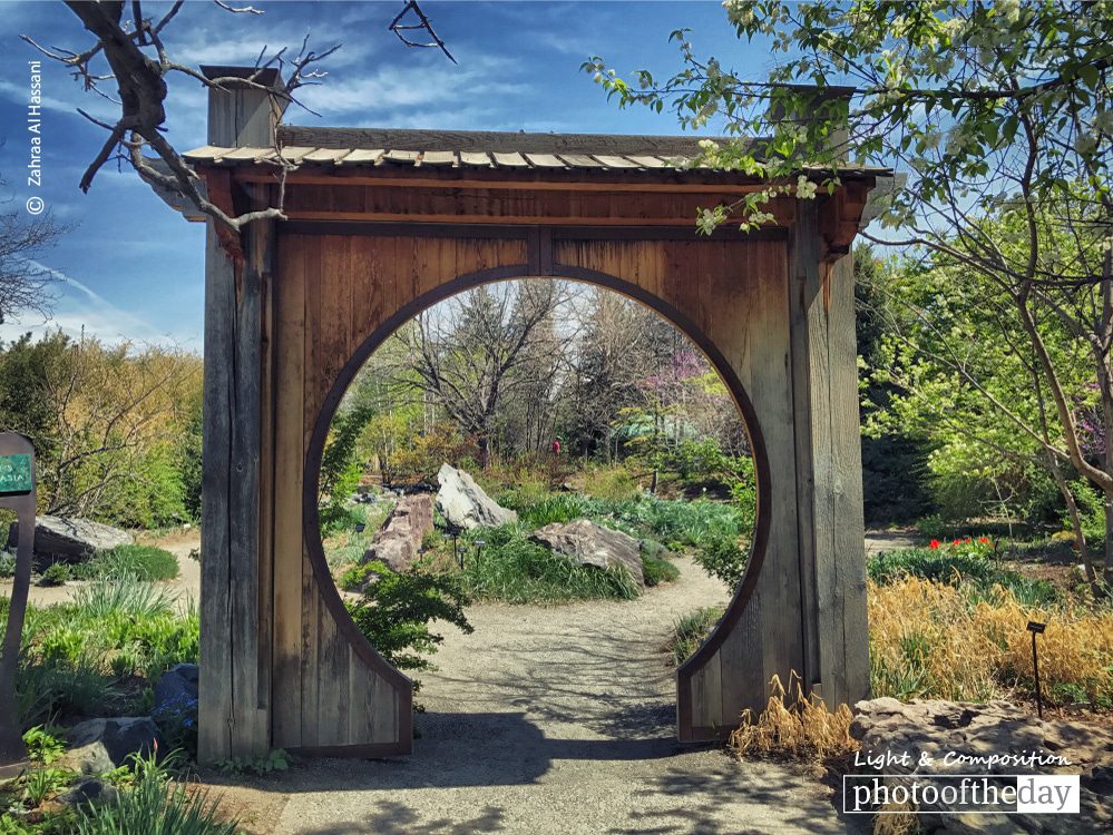 Denver Botanic Gardens, by Zahraa Al Hassani - Nature Photography, Photo of the Day, Photography Awards, Art Photography, Online Photography Courses