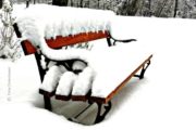 Snowy Seat, by Tisha Clinkenbeard - Nature Photography, Photography Award, Photo of the Day, Award Winning Photography,  Light & Composition University