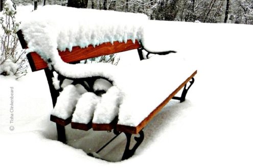 Snowy Seat, by Tisha Clinkenbeard - Nature Photography, Photography Award, Photo of the Day, Award Winning Photography, Light & Composition University