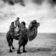 The Camel Polo Player, by Shirren Lim - Portrait Photography, Photojournalism, Photography Awards, Photo of the Day, Online Photography Courses