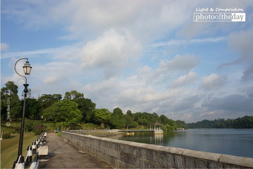 MacRitchie Reservoir Park, by Siew Bee Lim MacRitchie Reservoir Park, by Siew Bee Lim - Travel Photography, Photography Awards, Photo of the Day, MacRitchie Reservoir, Singapore