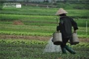 Travel Photography, Photo of the Day, Award Winning Photography, Photojournalism, Ryszard Wierzbicki – Watering Fields, by Ryszard Wierzbicki Watering Fields, by Ryszard Wierzbicki - Travel Photography, Photo of the Day, Award Winning Photography, Photojournalism, Ryszard Wierzbicki