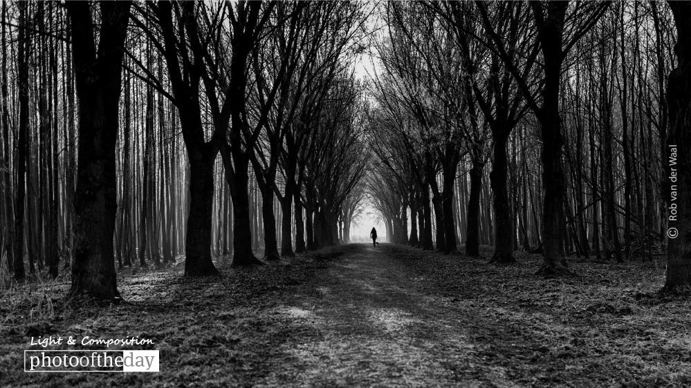 Artistic Photography, Photo of the Day, Black and White Photography, Nature Photography, Photography Awards - Going Home, by Rob van der Waal Going Home, by Rob van der Waal - Artistic Photography, Photo of the Day, Black and White Photography, Nature Photography, Photography Awards