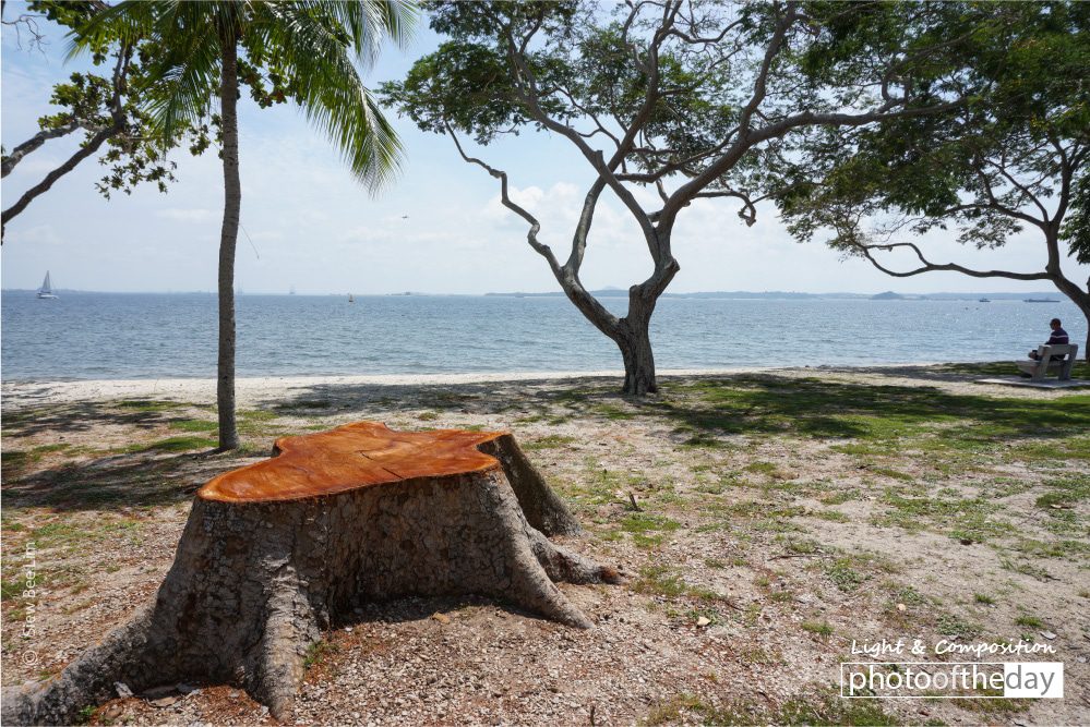 Live and Let Live, by Siew Bee Lim Live and Let Live, by Siew Bee Lim - Nature Photography, Photo of the Day, Photography Awards, Art Photography, Online Photography Courses