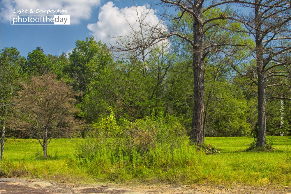 Early Fall at the Park, by Thomas Vasas - Nature Photography, Photo of the Day, Photography Awards, Landscape Photography,  Autumn Photography