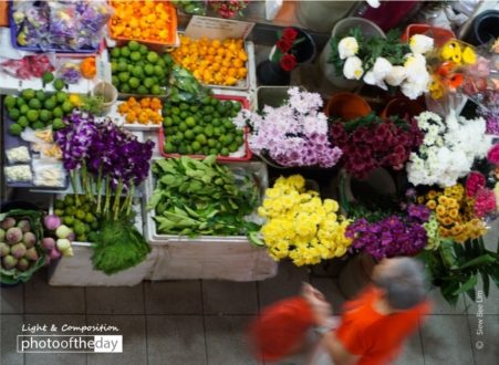 A View from the Stairs, by Siew Bee Lim - Color Photography, Photo of the Day, Award Winning Photography, Photography Awards, Online Photography Courses