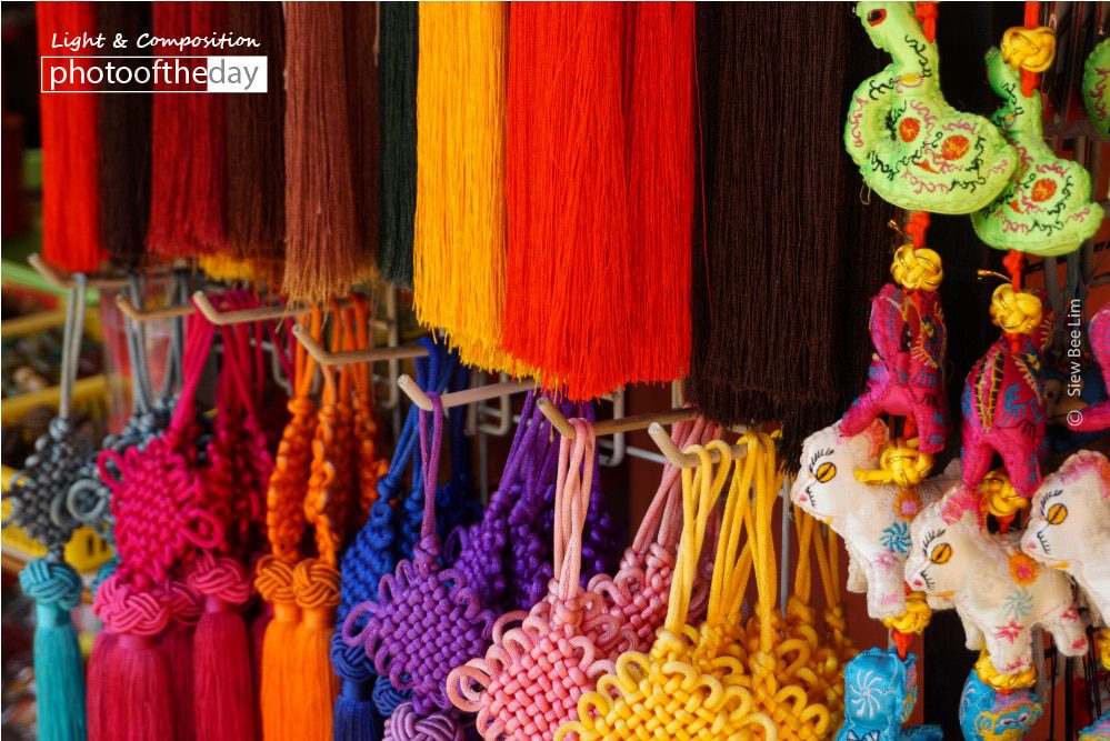 Luminance, by Siew Bee Lim - Color Photography, Photography Awards, Photo of the Day, Online Photography Courses, Art Photography