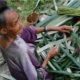 Weaving Flores Baskets, by Ryszard Wierzbicki - Photojournalism, Candid Photography, Documentary Photography,  Award-Winning Photography, Flores Island