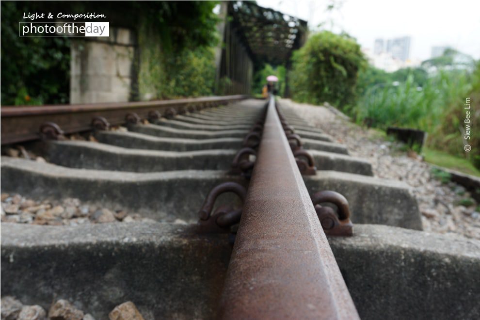The Railway, by Siew Bee Lim The Railway, by Siew Bee Lim - Photo of the Day, Art Photography, Still Life Photography, Photography Awards, Online Photography Courses