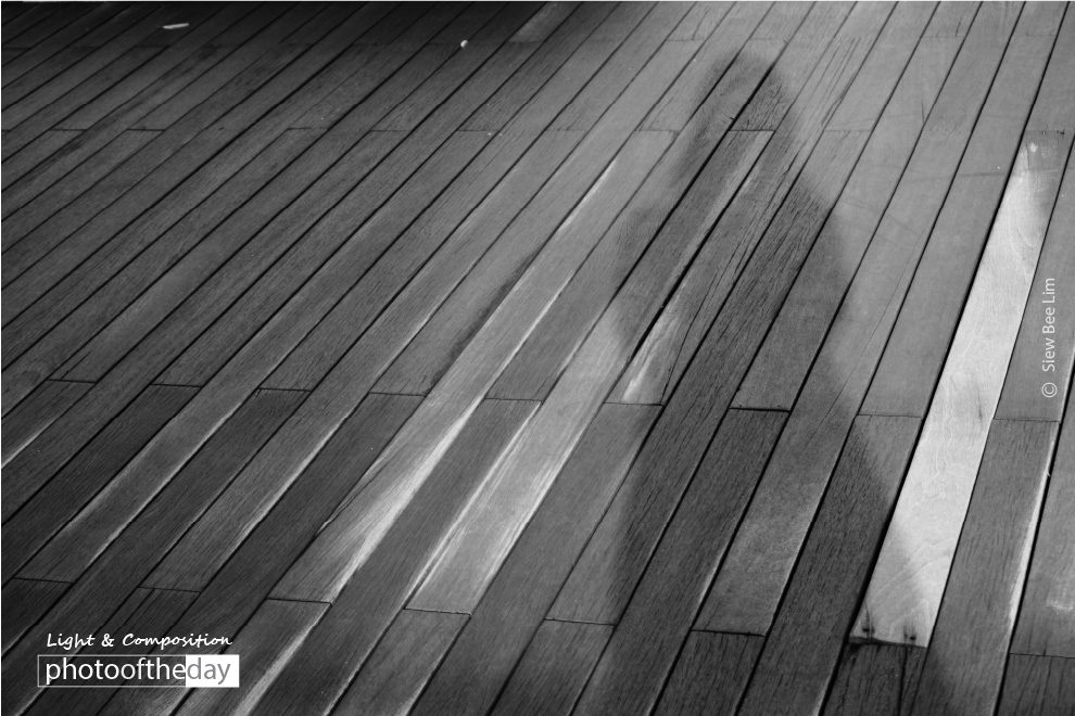 A Ray of Sunshine, by Siew Bee Lim A Ray of Sunshine, by Siew Bee Lim - Photo of the Day, Black and White Photography, Photography Awards, Online Photography Courses, Light & Composition University