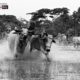 Bull Race, by Abhishek Dutta - Motion Photography, Photojournalism,  Photography Awards, Photo of the Day,  India