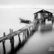 Quiet the Chaos II, by Shirren Lim Quiet the Chaos II, by Shirren Lim - Black and White Photography, Photojournalism, Art Photography, Shirren Lim, Photo of the Day