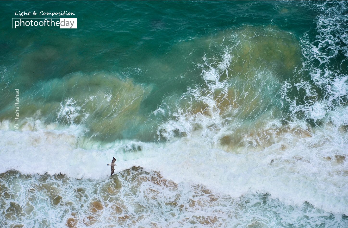 Fly Like an Eagle over the Sea, by Rasha Rashad - Aerial Photography, Award Winning Photography, Photo of the Day, Photography Awards, Rasha Rashad