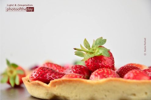 A Home Made Strawberry Tartlet, by Rasha Rashad - Food Photography, Photography Award, Photo of the Day, Strawberry Tartlet, Rasha Rashad