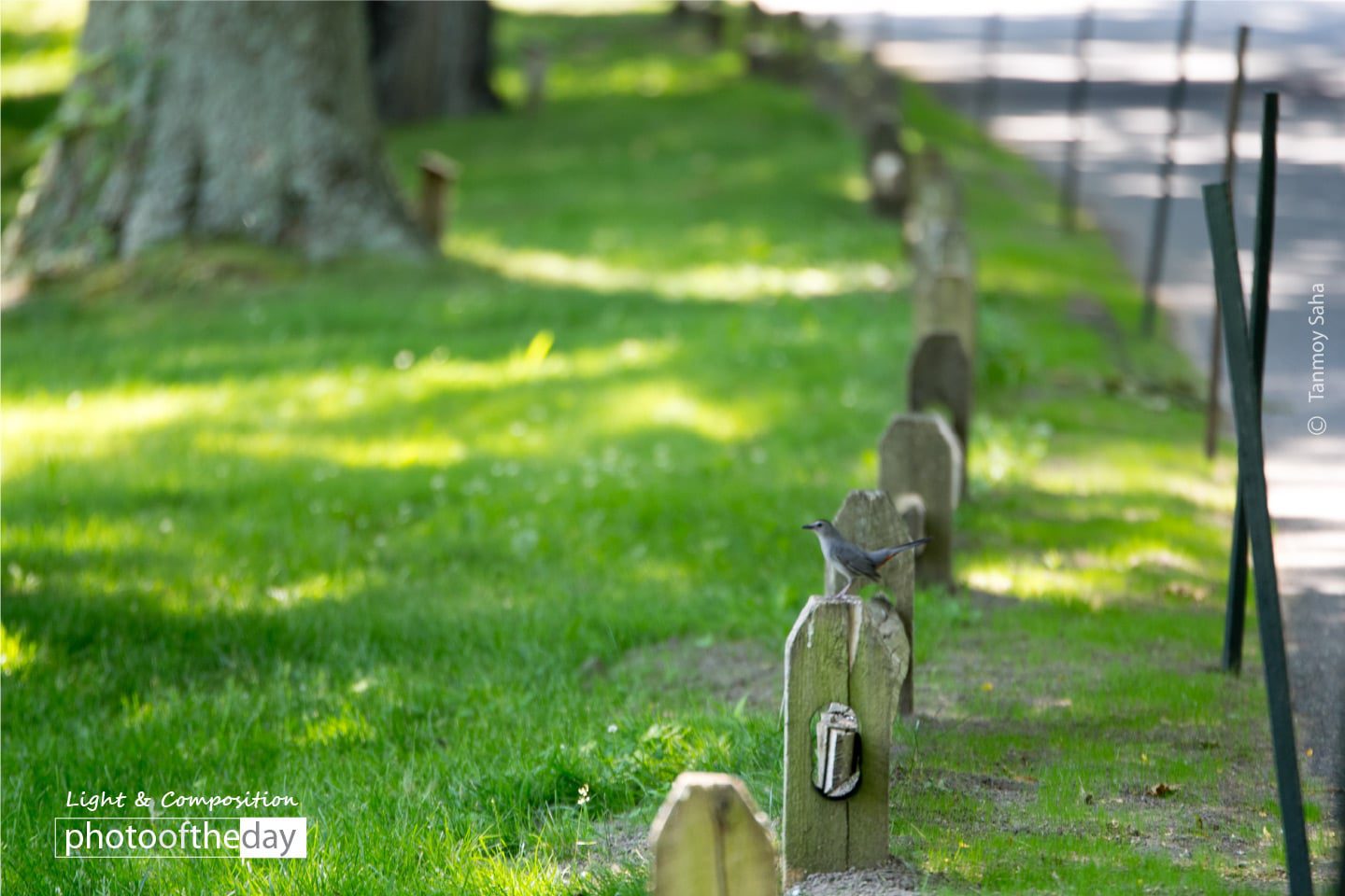 The Inspiration to the Scientists, by Tanmoy Saha The Inspiration to the Scientists, by Tanmoy Saha - Nature Photography, Photography Awards, Photo of the Day, Art Photography, Online Photography Courses