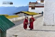Tea Break with Little Monks, by Naba Kumar Mondal - Travel Photography, Photojournalism, Documentary Photography, Award Winning Photography,  Naba Kumar Mondal