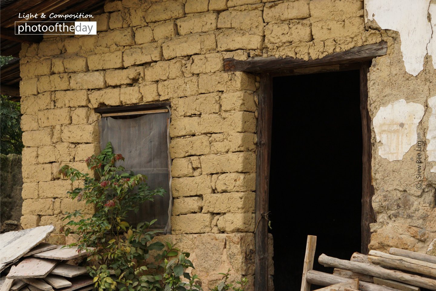 Yellow Wall, by Siew Bee Lim Yellow Wall, by Siew Bee Lim - Photo of the Day, Still Life Photography, Photography Awards, Online Photography Courses, Award Winning Photography