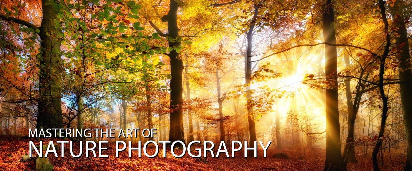 Mastering the Art of Nature Photography - Nature Photography, Online Photography Courses, Photography Education, Art Photography, Landscape Photography