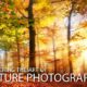 Mastering the Art of Nature Photography - Nature Photography, Online Photography Courses, Photography Education, Art Photography, Landscape Photography
