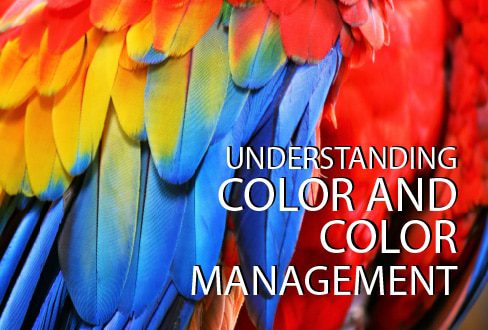 Understanding Color and Color Management - color photography, color management, online photography courses, photography education, color theory