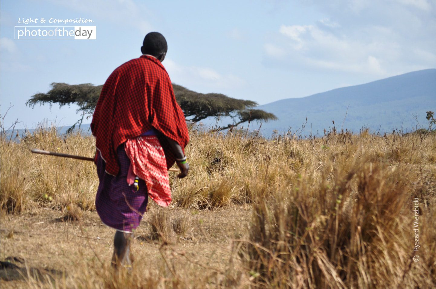 Savanna Walker by Ryszard Wierzbicki Savanna Walker by Ryszard Wierzbicki - Photojournalism, Travel Photography, Award Winning Photography, Serengeti National Park, Ryszard Wierzbicki