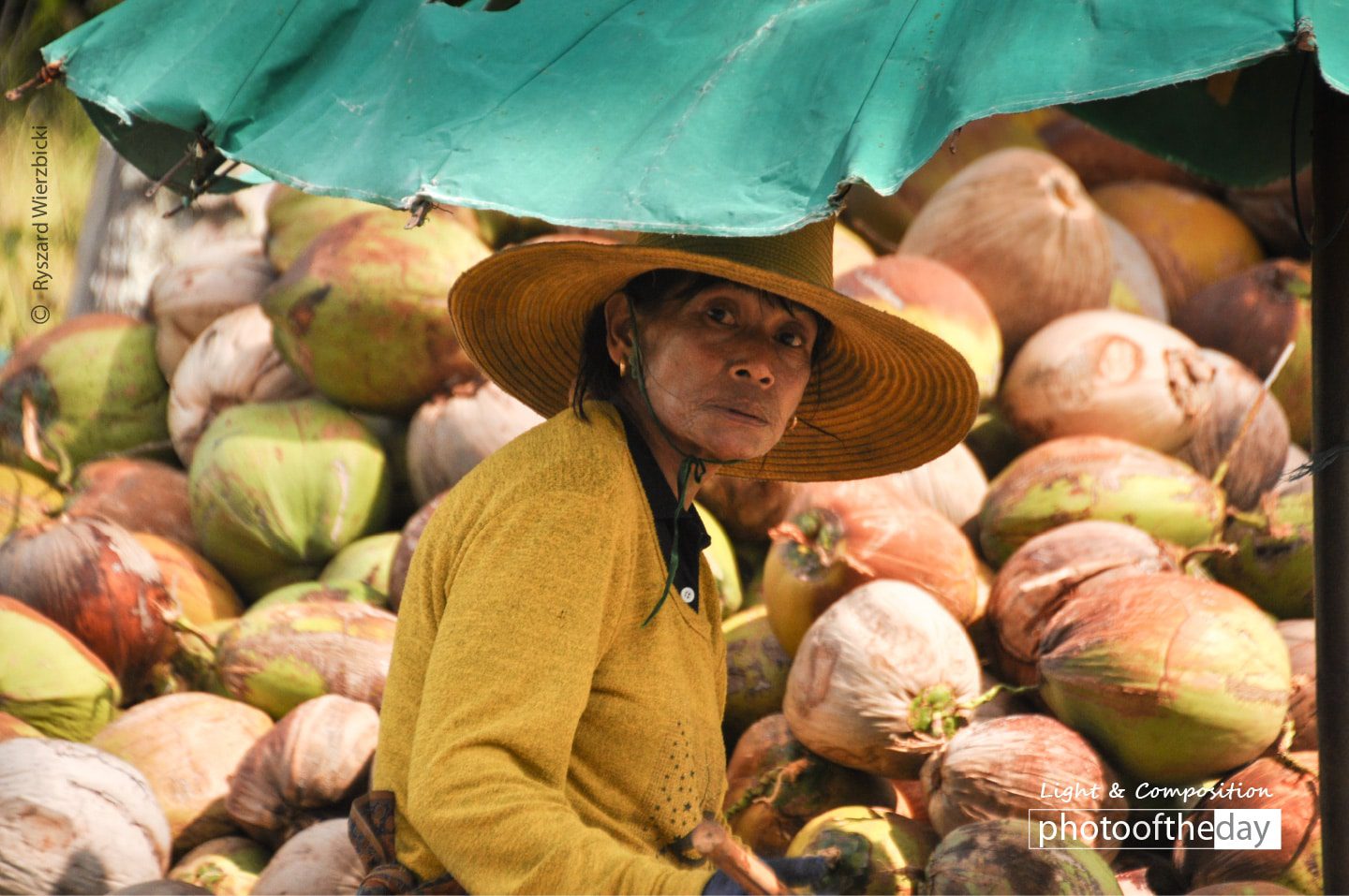 Coconut Selector, by Ryszard Wierzbicki - Photojournalism, Candid Photography, Award Winning Photography, Photography Awards, Documentary Photography