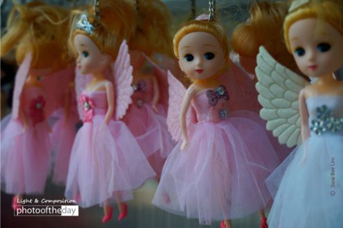 Keychain Dolls, by Siew Bee Lim - Photo of the Day, Color Photography, Award Winning Photography, Photography, Siew Bee Lim
