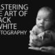 Mastering the Art of Black & White Photography - Black and white photography, online photography course, photography education, art photography, monochrome photography
