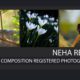 Neha Reddy - Nature Photography, Landscape Photography, Wildlife Photography, Flora Photography, Neha Reddy