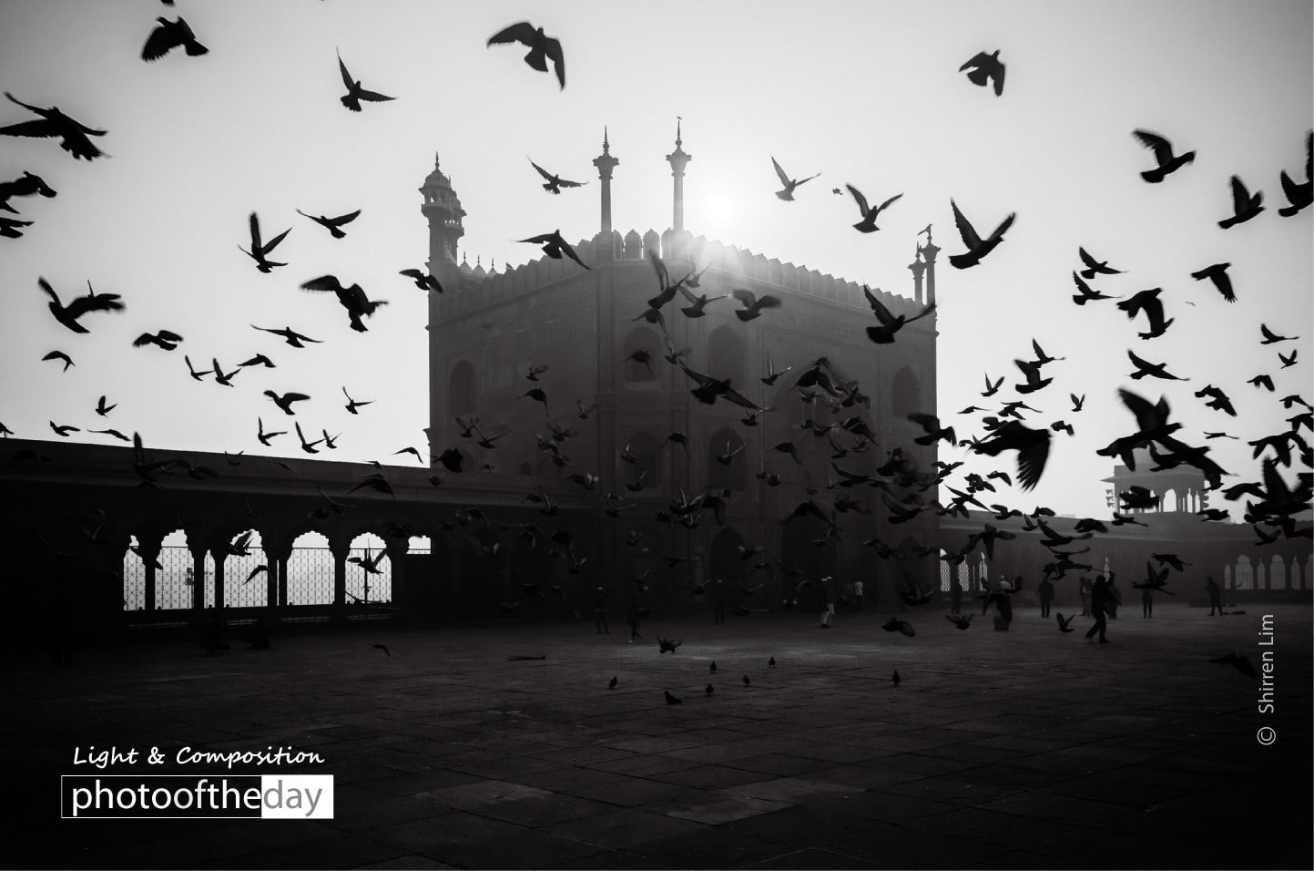 Morning Birds by Shirren Lim - Photojournalism, Art Photography, Black and White Photography, Photography Awards, Photo of the Day