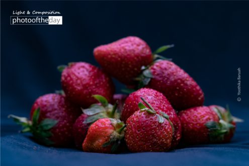 The Strawberries by Yoothika Baruah - Food Photography, Photography Awards, Photo of the Day, Art Photography, Online Photography Courses