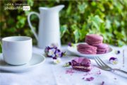 Violet Macarons and a Coffee Cup by Barbara Martello - Food Photography, Photo of the Day, Photography Awards, Art Photography,  Barbara Martello